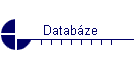 Databáze